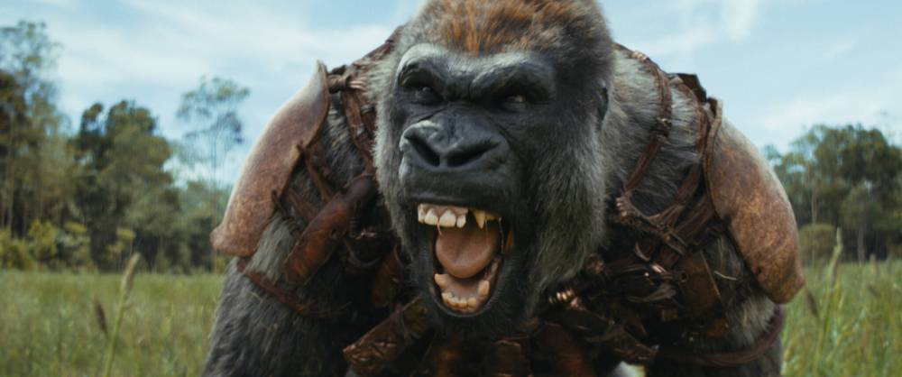 20th Century Studios
Kingdom of the Planet of the Apes broadly examines the themes of leadership, power and the possibility of peaceful co-existence.