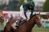 BRYNN ANDERSON / ASSOCIATED PRESS FILES
                                Brian Hernandez Jr. celebrates after riding Mystik Dan to win the 150th running of the Kentucky Derby horse race at Churchill Downs Saturday, May 4, 2024, in Louisville, Ky. (AP Photo/)