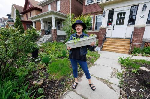 MIKE DEAL / FREE PRESS
                                Coleen Rajotte, a former CBC-TV journalist of Cree/Métis heritage, shares knowledge of growing traditional foods, gathering plant medicines and cooking garden fresh recipes as host on APTN&rsquo;s Vitality Gardening.