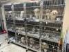 WINNIPEG HUMANE SOCIETY
                                Winnipeg’s Animal Services seized 68 dogs from a home in Richmond West — the largest animal seizure in the city’s history.