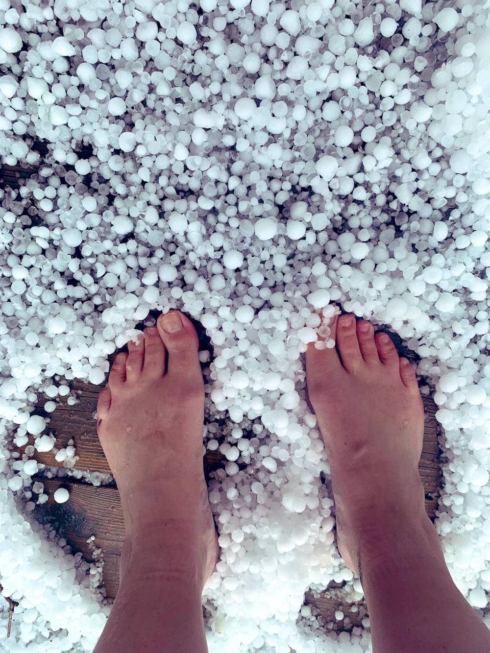 FIONA ODLUM PHOTO
St. James resident Fiona Odlum said her entire property was covered by hail the size of peas and nickels.