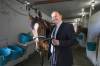 RUTH BONNEVILLE / FREE PRESS files
                                Assiniboia Downs CEO Darren Dunn: we have the team members who have the creativity to try and make something special.”