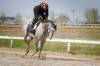 MIKE DEAL / FREE PRESS
                                Three-time top jockey, Antonio Whitehall — working Exchequer on the muddy track Friday at Assiniboia Downs — is back to defend his title in 2024.