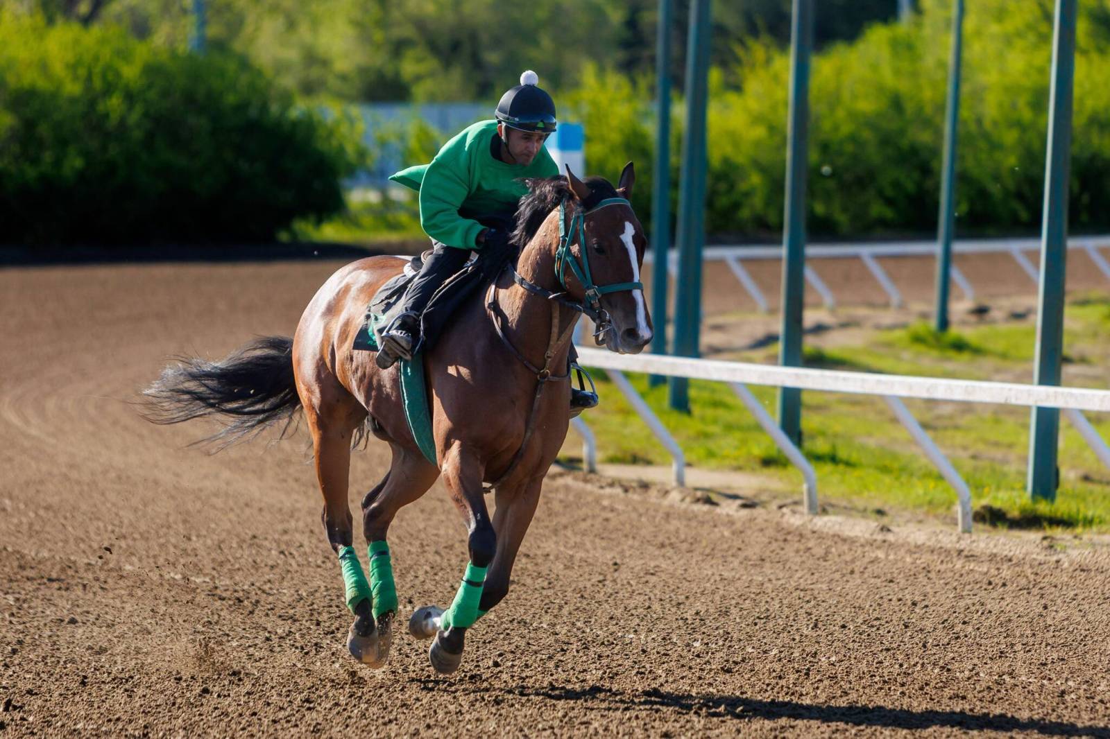 Badrie races to top of rider standings – Winnipeg Free Press