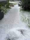 ALEXANDER PANKIW PHOTO

- hail in Silver Heights
May 16, 2024