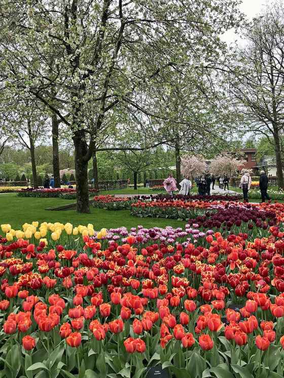 Keukenhof flower garden (Jen Zoratti / Free Press)