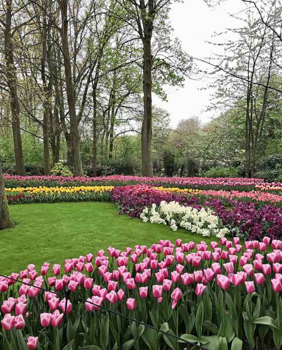 Keukenhof flower garden (Jen Zoratti / Free Press)