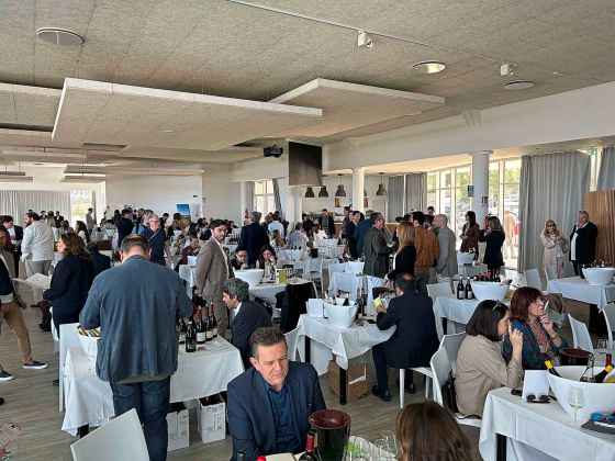 Winery representatives and journalists mingle and taste at Sicilia En Primeur. (Ben Sigurdson / Free Press)