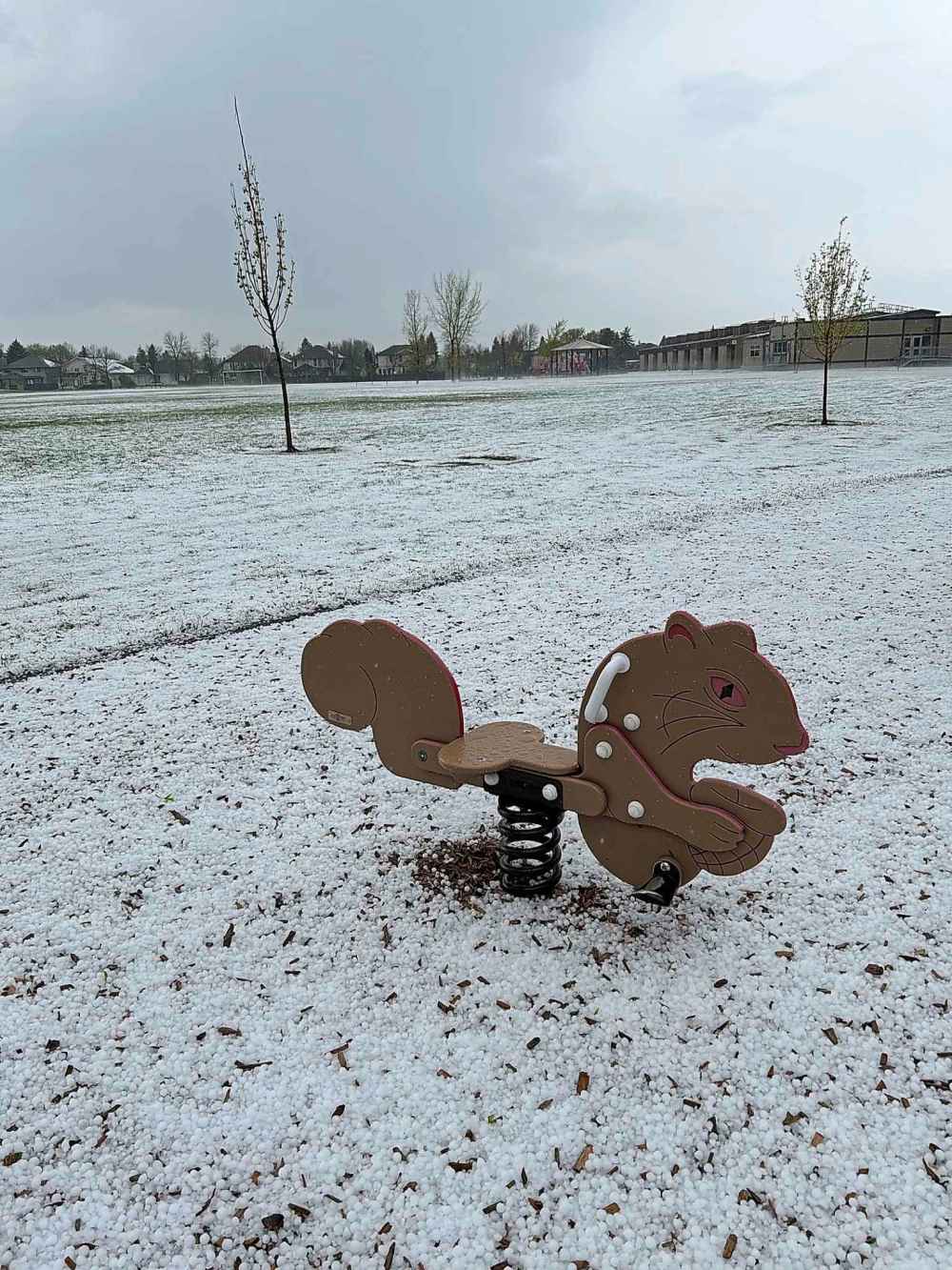 Hail seen on the south side of the city. (Scott Gibbons / Free Press)