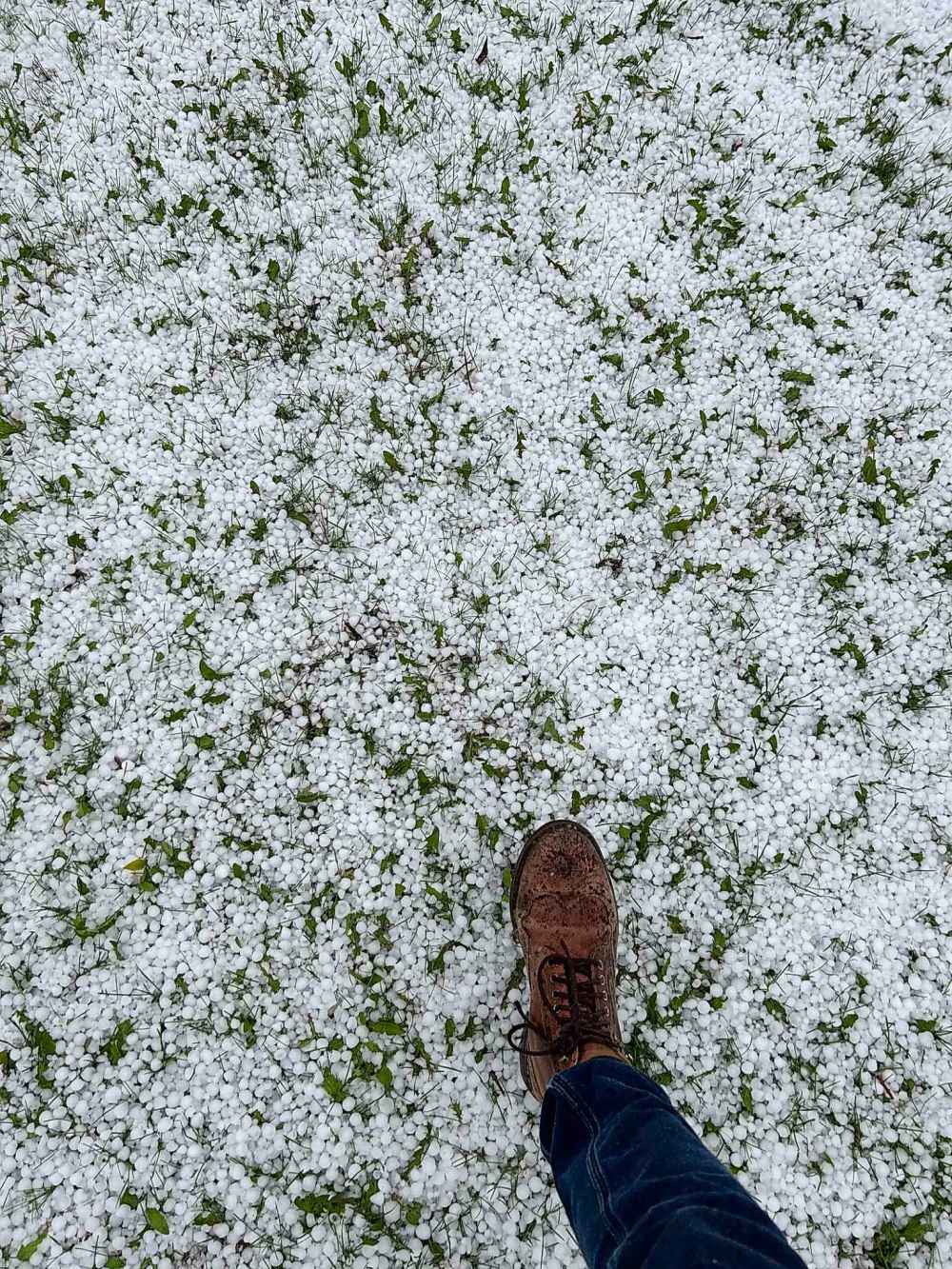 Hail seen on the south side of the city. (Scott Gibbons / Free Press)