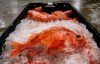 In this Thursday, Jan. 7, 2016 photo redfish are displayed at the Portland Fish Exchange in Portland, Maine. Following a decades-long moratorium the redfish fishery is expected to open later this month in the Gulf of St. Lawrence. THE CANADIAN PRESS/AP-Robert F. Bukaty
