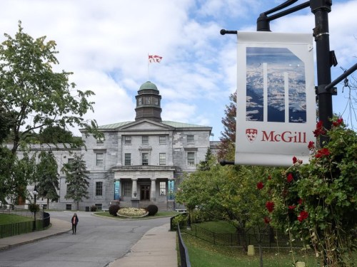 McGill University is shown in Montreal on Friday, October 13, 2023. Canada's leading research universities warn that a proposed foreign influence transparency registry could have an unintended 