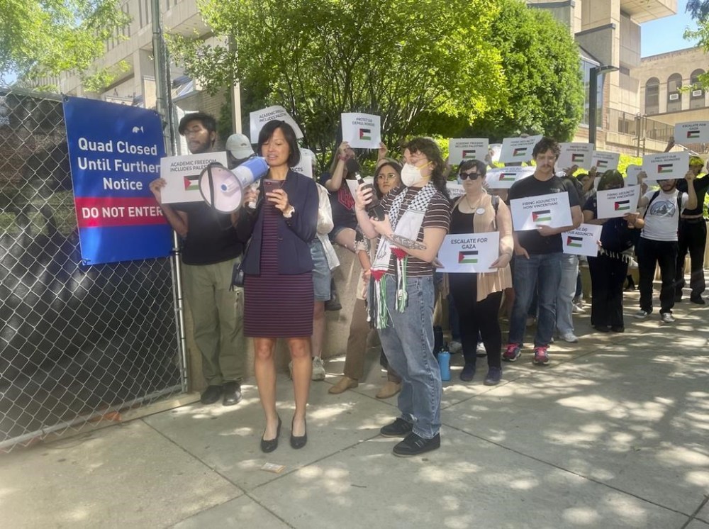 DePaul University adjunct professor Anne d'Aquino speaks to reporters with pro-Palestinian demonstrators standing behind her outside the North Side university's quad, Thursday, June 6, 2024. (Jessica Ma/Chicago Sun-Times via AP)