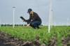 EMILI Managing Director, Jacqueline Keena, is photographed in the field at Innovation Farms, north of Winnipeg on Wednesday, June 12, 2024. THE CANADIAN PRESS/David Lipnowski