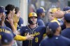 Milwaukee Brewers' Jake Bauers celebrates after his two-run home run that also scored Willy Adames during the second inning of a baseball game against the Los Angeles Angels, Monday, June 17, 2024, in Anaheim, Calif. (AP Photo/Ryan Sun)