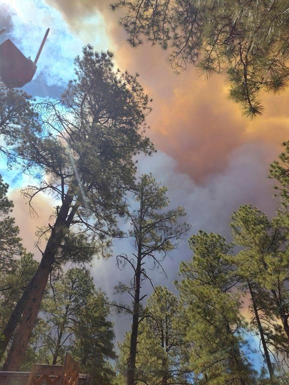 Smoke from a wildfire rises over trees in Ruidoso, N.M., Monday, June 17, 2024. Residents of the mountain village of about 7,000 residents fled their homes under evacuation orders with little time to rescue belongings. (Jacquie Escajeda via AP)
