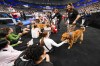 FILE - Support dogs are greeted by athletes during the U.S. Gymnastics Championships, June 2, 2024, in Fort Worth, Texas. USA Gymnastics makes therapy dogs a staple at major events to help gymnasts relax, they've also been a hit with coaches and judges, lowering anxiety levels all around. (AP Photo/Julio Cortez, File)