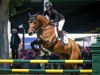 Olympic veterans Amy Millar and Mario Deslauriers were named to Canada's equestrian jumping team for this summer's Paris Games. Millar rides Heros, during the Grand Prix event of the National at Spruce Meadows in Calgary, Saturday, June 8, 2019. THE CANADIAN PRESS/Jeff McIntosh