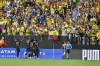 Ecuador players celebrate with fans after Kendry Paez scored their side's second goal against Jamaica during a Copa America Group B soccer match in Las Vegas, Wednesday, June 26, 2024. (AP Photo/David Becker)