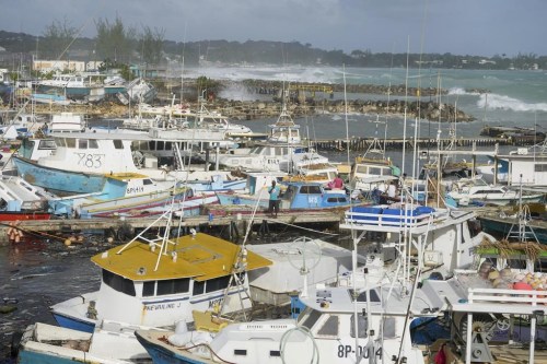 A fisherman looks at fishing vessels damaged by Hurricane Beryl at the Bridgetown Fisheries in Barbados, Monday, July 1, 2024. (AP Photo/Ricardo Mazalan)
