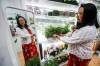 JOHN WOODS / FREE PRESS
                                Krystle Pagkaliawan, owner of Plant Lab Botanical Designs, in her Exchange District store in Winnipeg Sunday.
