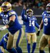 John Woods / THE CANADIAN PRESS FILES
                                Winnipeg Blue Bombers kicker Sergio Castillo.