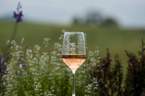Bonnie Jo Mount / The Washington Post
                                Rose from Early Mountain Vineyards in Madison, Virginia.