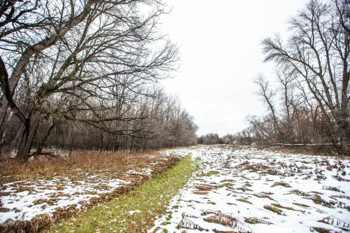 MIKAELA MACKENZIE / FREE PRESS FILES
                                On Monday, the city&rsquo;s Riel community committee will hear a development application for the 22.5-acre site.