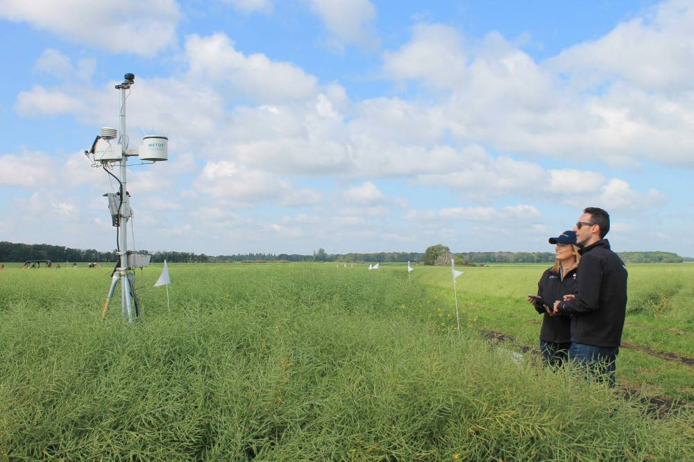 SUPPLIED Jacqueline Keena and Dan Lussier at Innovation Farms