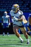 NIC ADAM / FREE PRESS Winnipeg Blue Bombers’ Brady Oliveira (20)