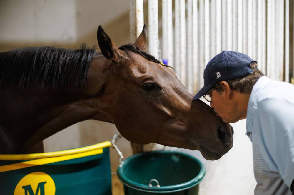 Trainer puts up incredible numbers
