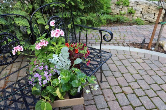 Fees for cardboard greenhouse trays began appearing last year. (Colleen Zacharias / Free Press)