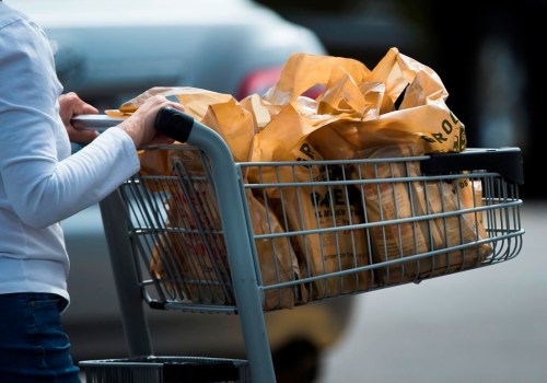 A women leaves a grocery store using plastic bags in Mississauga, Ont., on August 15, 2019. THE CANADIAN PRESS/Nathan Denette