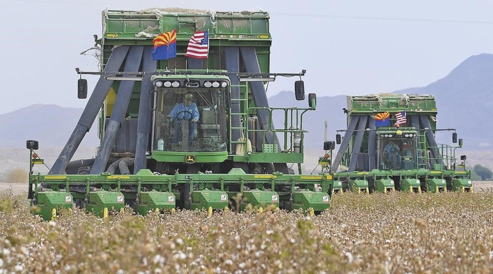 FILE - Two John Deere on board module cotton strippers, owned and operated by DVB Harvesting, work their way through a field of cotton on Aug. 21, 2020, in Winterhaven, Ariz. John Deere says it will no longer sponsor