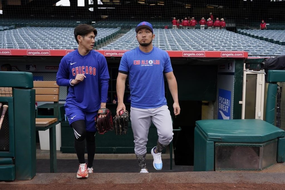 FILE - Chicago Cubs' Seiya Suzuki, right, and his interpreter, Toy Matsushita, walk out of the dugout before the team's baseball game against the Los Angeles Angels on Tuesday, June 6, 2023, in Anaheim, Calif. Matsushita dismissed by the team prior to the Cubs against the Arizona Diamondbacks, Friday, July 19, 2024. (AP Photo/Jae C. Hong, File)