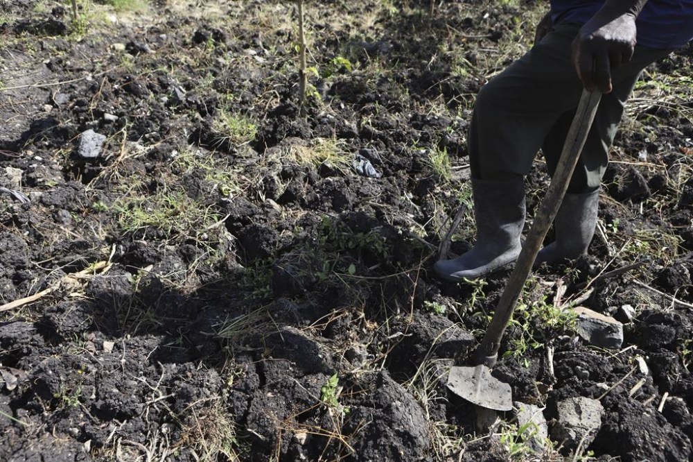 Benson Wanjala stands on a field as he talks about the health of the soil at his farm in Machakos, Kenya, Tuesday, May 21, 2024. (AP Photo/Andrew Kasuku)