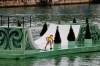 A maintenance worker sweeps water off a skateboard ramp installed on a floating platform ahead of the opening ceremony for the 2024 Summer Olympics in Paris, France, Friday, July 26, 2024. (Stefan Wermuth/Pool Photo via AP)