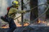 A firefighter lays out a hose line while fighting the Park Fire near Forest Ranch, Calif., Sunday, July 28, 2024. (AP Photo/Nic Coury)