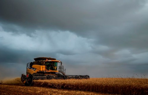 A new report says a third of all agriculture jobs in Canada could be automated within the next decade. A farmer drives a combine to harvest a wheat crop near Cremona, Alta., Monday, Sept. 18, 2023. THE CANADIAN PRESS/Jeff McIntosh
