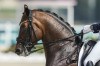 Sweden's Patrik Kittel, riding Touchdown, during the Equestrian Dressage competition, at the 2024 Summer Olympics, Tuesday, July 30, 2024, in Versailles, France. (AP Photo/Mosa'ab Elshamy)
