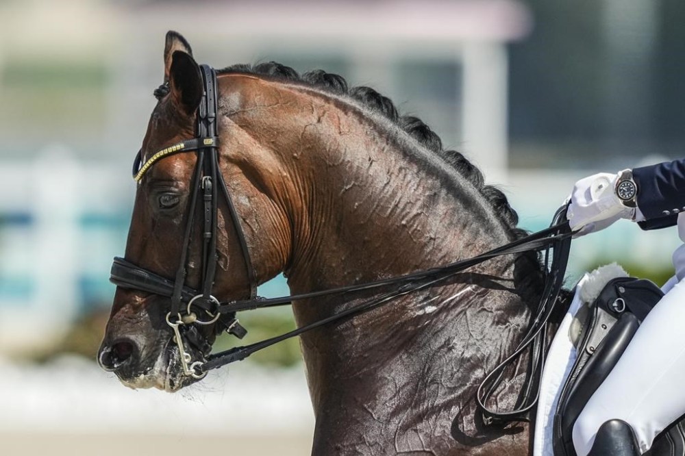 Sweden's Patrik Kittel, riding Touchdown, during the Equestrian Dressage competition, at the 2024 Summer Olympics, Tuesday, July 30, 2024, in Versailles, France. (AP Photo/Mosa'ab Elshamy)