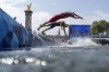 Chile's Diego Maya, right, and Portugal's Vasco Vilaca dive back into the Seine river for the second lap of the swim portion at the men's individual triathlon competition at the 2024 Summer Olympics, Wednesday, July 31, 2024, in Paris, France. (AP Photo/David Goldman, Pool)