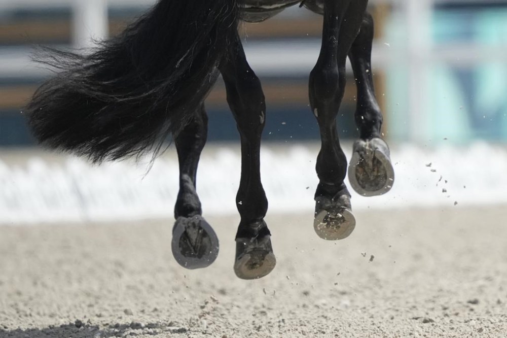 Horse Glamourdale in action ridden by Britain's Charlotte Fry during the dressage Individual Grand Prix Freestyle at the 2024 Summer Olympics, Sunday, Aug. 4, 2024, in Versailles, France. (AP Photo/Mosa'ab Elshamy)