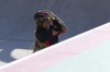 Sky Brown of Great Britain reacts after her run during the women's skateboarding park final at the 2024 Summer Olympics, Tuesday, Aug. 6, 2024, in Paris, France. (AP Photo/Vadim Ghirda)