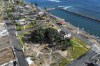 FILE - New leaves grow on the historic banyan tree on June 26, 2024, in Lahaina, Hawaii. When a deadly wildfire tore through Lahaina on Maui last August, the wall of flames threatened the 150-year-old banyan tree along the historic town's Front Street. But the sprawling tree survived the blaze, and thanks to the efforts of arborists and dedicated volunteers, parts of it are growing in a sign of resilient life. (AP Photo/Mengshin Lin)