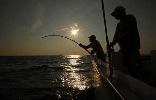 A new report says Nova Scotia’s commercial swordfish harpoon fleet could bring in returns of $2.5 million by adding charters and rod-and-reel gear to adapt to low catch rates. Men fish about 20 miles off the coast of southern Maine on Aug. 6, 2018. THE CANADIAN PRESS/AP/Robert F. Bukaty