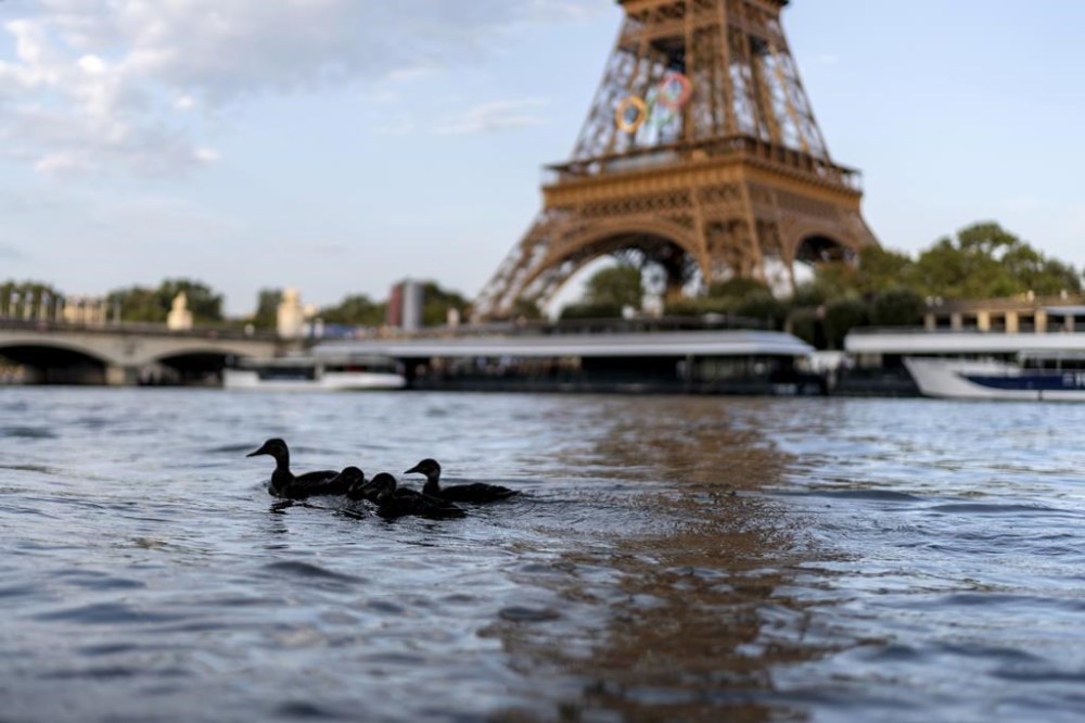 Ducks swim along the Seine River in front of the Eiffel Tower during the 2024 Summer Olympics, Monday, July 29, 2024, in Paris. As the Olympics continue in Paris, the Seine River's water quality remains a major area of concern for officials. Canadian Emma Finlin is scheduled to compete in the women's marathon swimming event in the morning as concerns swirl over the Seine River's water quality. THE CANADIAN PRESS/AP-David Goldman