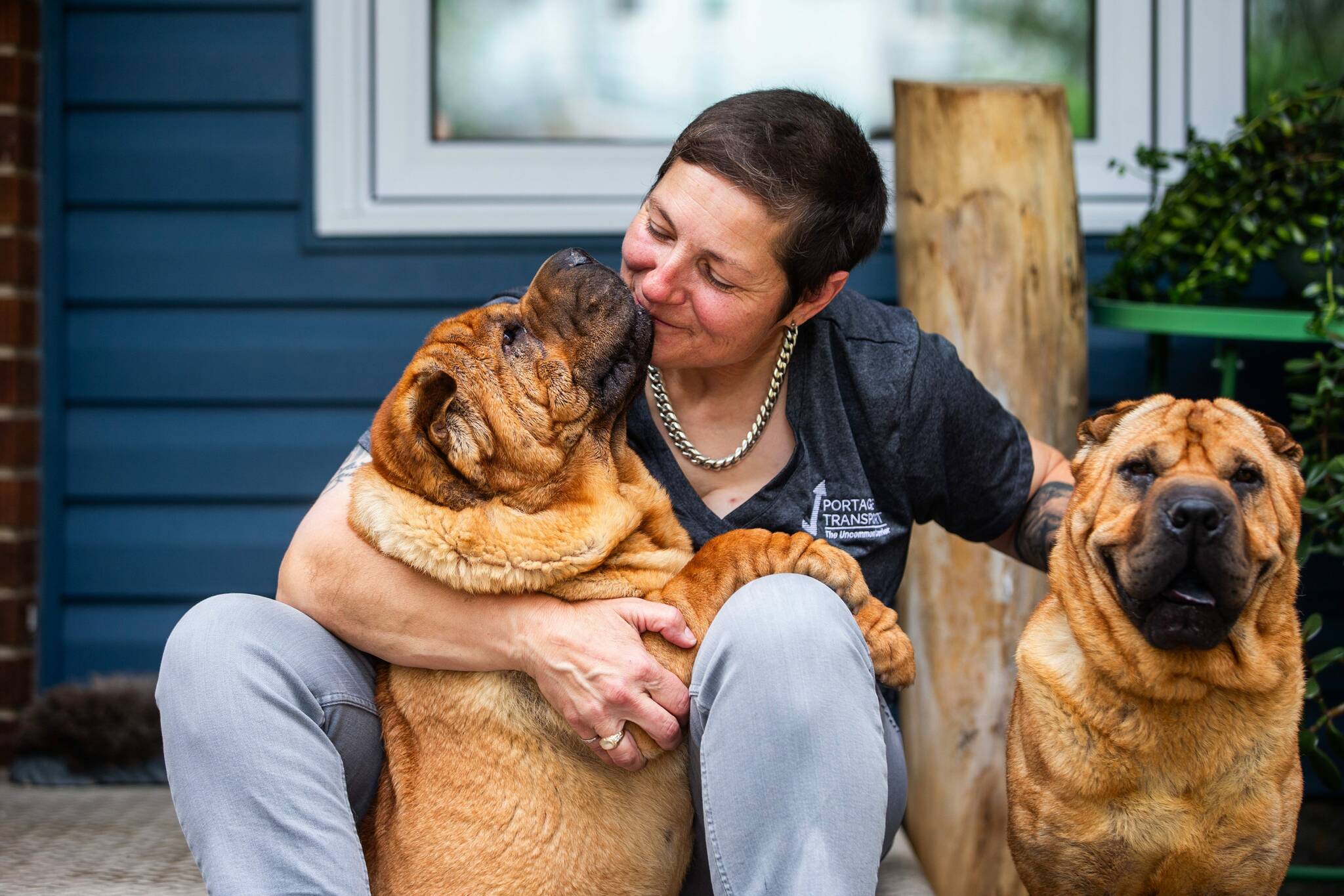 Truckers say U.S. border regulations on dogs misguided – Winnipeg Free Press