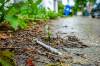 NIC ADAM / FREE PRESS
                                A used needle on the ground of the back lane between College and Boyd avenues.