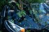 MIKE THIESSEN / FREE PRESS FILES
                                A vehicle damaged in the Aug. 24 hailstorm.
